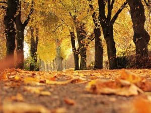 Trattamenti e rituali di autunno
